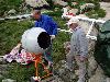 dsc08767.jpg