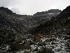 dsc08873.jpg