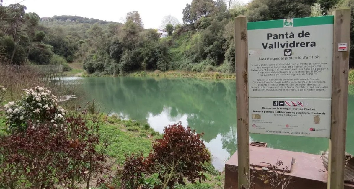 Matinal Vallvidrera - La Floresta Matinal Vallvidrera - La Floresta