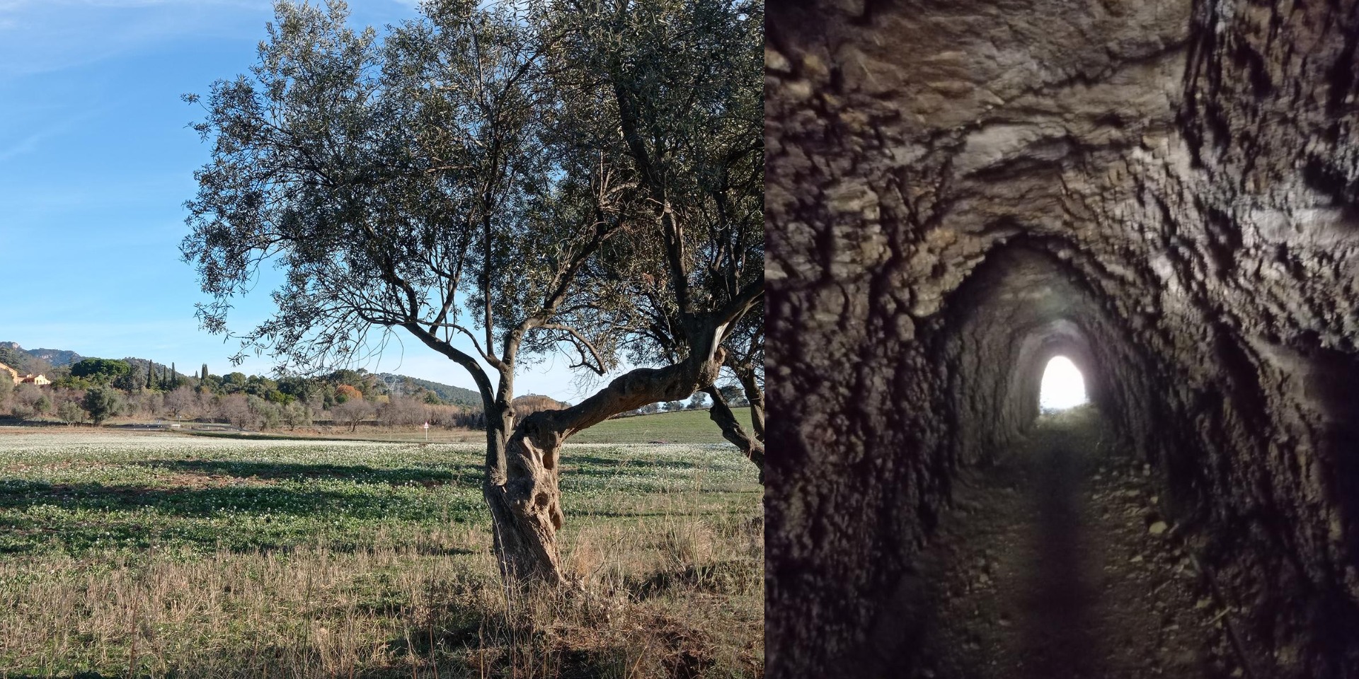 FentKmí | TERRASSA – OBAGA DEL GUITARD