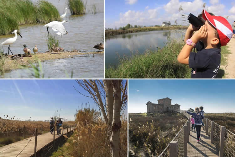FentKmí | DELTA DEL LLOBREGAT FentKmí | DELTA DEL LLOBREGAT